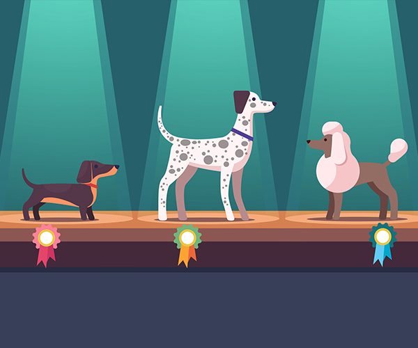 BEST IN SHOW AT ISLAND GROVE